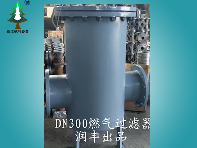 DN300-600大口徑燃?xì)膺^(guò)濾器